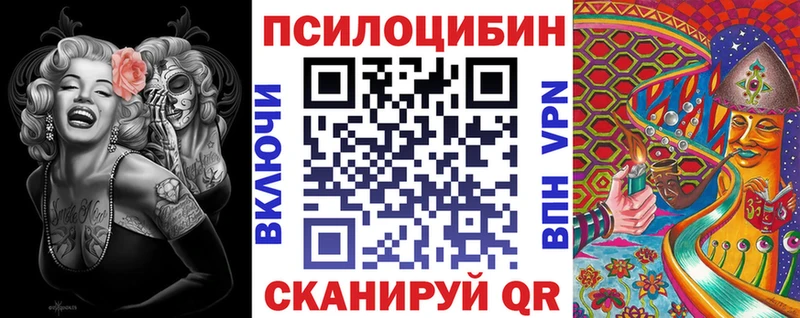 Псилоцибиновые грибы Psilocybe  Волгоград 