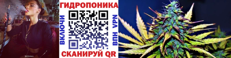 Канабис план Волгоград